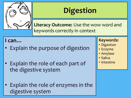 AQA AS Biology Digestion and the Small intestine Lecture notes