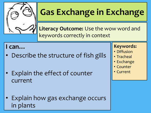 AQA AS Biology Gas exchange in fish and insects lecture notes