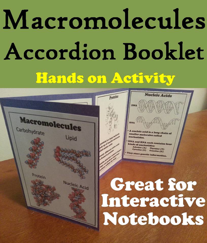 Macromolecules Accordion Booklet