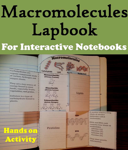 Macromolecules Lapbook