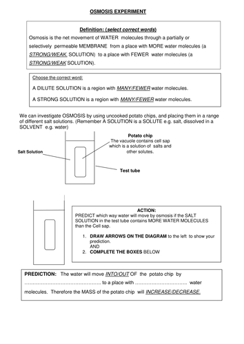 Osmosis Worksheet | Teaching Resources