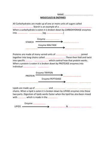 Molecules & Enzymes Worksheet | Teaching Resources