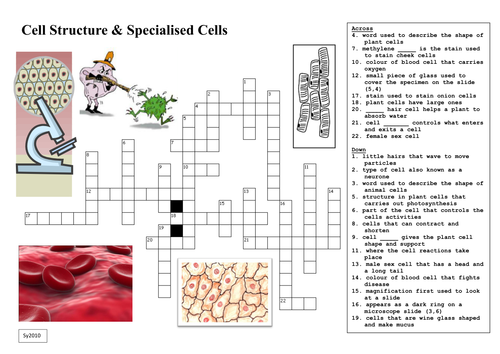 Cell Structures & Specilaised Cell Cross Words
