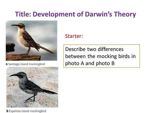 Separate Science lessons for B3 Unit (Edexcel GCSE)