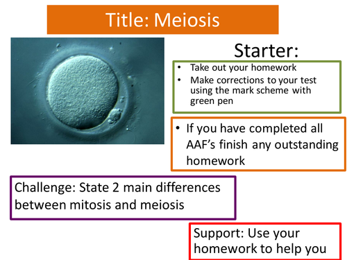 B3 Biology Unit New Edexcel GCSE - Genetics