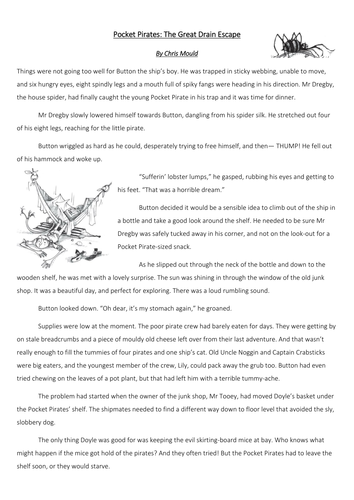 Comprehension - Pocket Pirates by Chris Mould