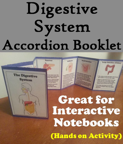 Organs of the Digestive System Accordion Booklet