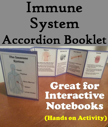 Immune System Accordion Booklet