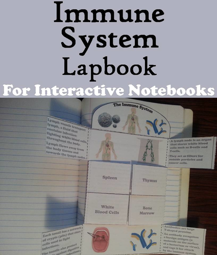 Immune System Lapbook