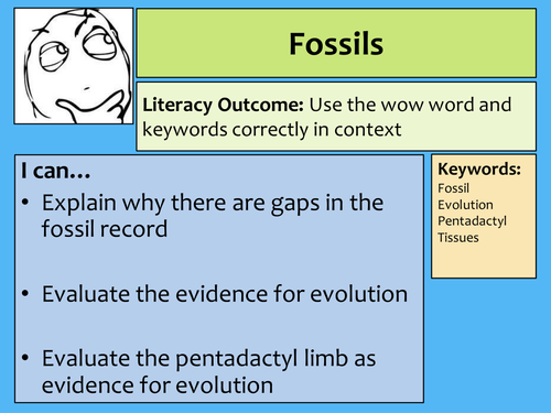 Edexcel B2 Revision 6 mark questions