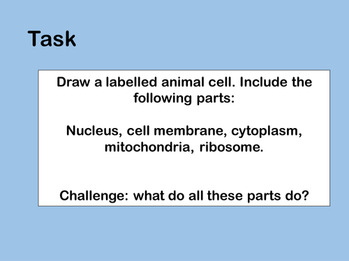 Respiration Student Led Lesson: AQA Trilogy