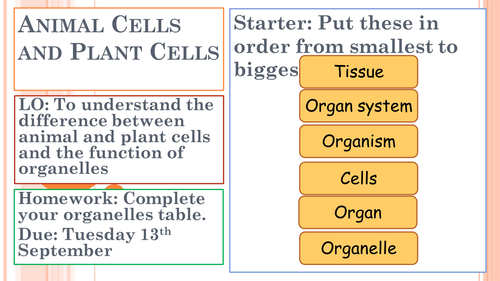 AQA Trilogy Science (9-1) Biology 1 - Cell Biology Lessons | Teaching  Resources