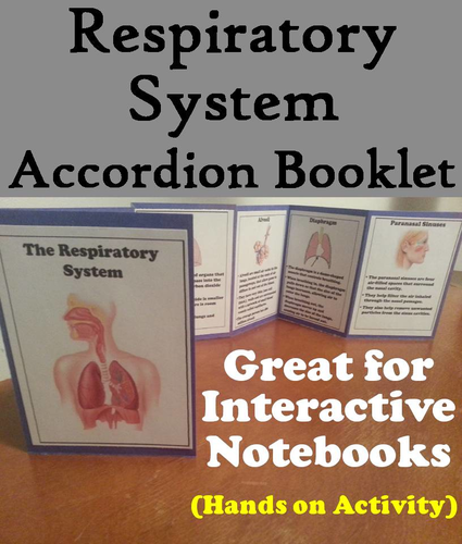 Respiratory System Accordion Booklet