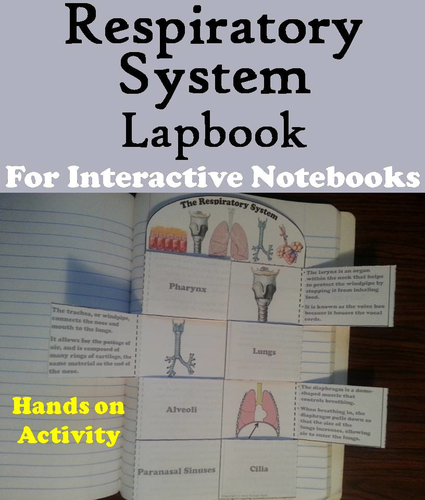 Respiratory System Lapbook