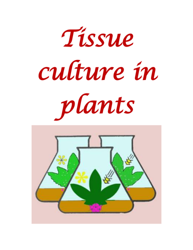 PLANT TISSUE CULTURE