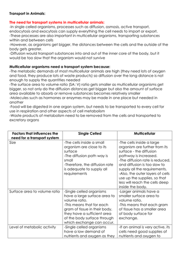 Transport in Animals OCR Biology 3.1.2