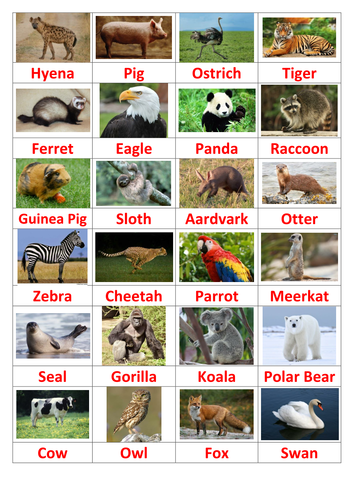 Kids Quiz - Name the Animal