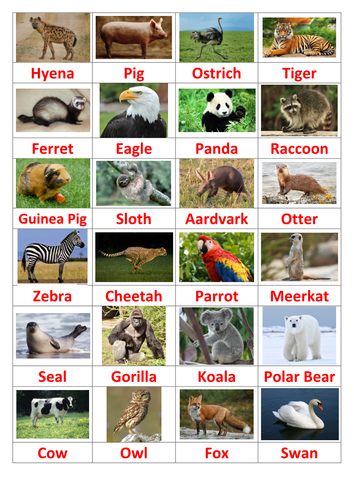 Kids Quiz - Name the Animal | Teaching Resources