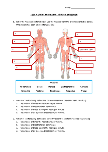 Year 7 End Of Year Pe Theory Exam Key Stage 3 All Resources Simple Gcse Content Teaching Resources