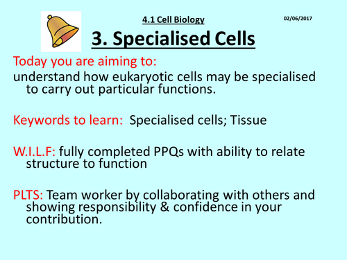 lesson 3 Specialised cells and differentiation AQA Trilogy GCSE (9-1) 4 ...