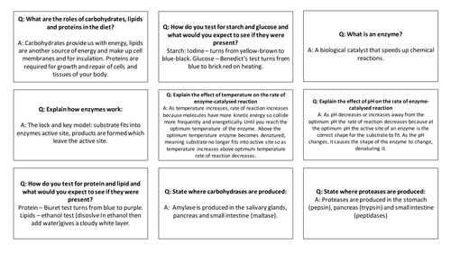AQA iGCSE Biology Cards Revision for connect four - biological molecules, digestion, enzymes, & more