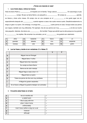 spanish ks3 pets animals home reading comprehension