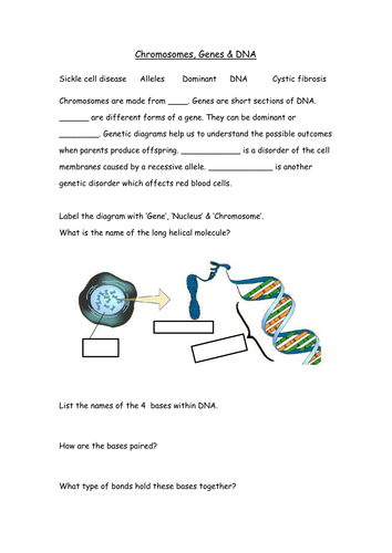 Genes and evolution revision Powerpoint and booklet suitable for KS3 and lower ability KS4.