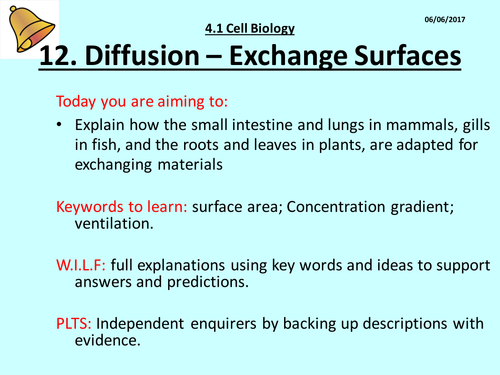 Lesson 12 Diffusion Exchange Surfaces AQA Trilogy GCSE (9-1) 4.1 Cell Biology