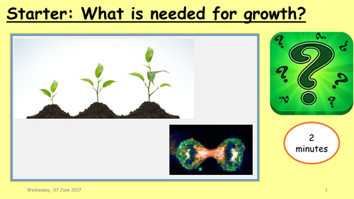 New GCSE - Biology Mitosis