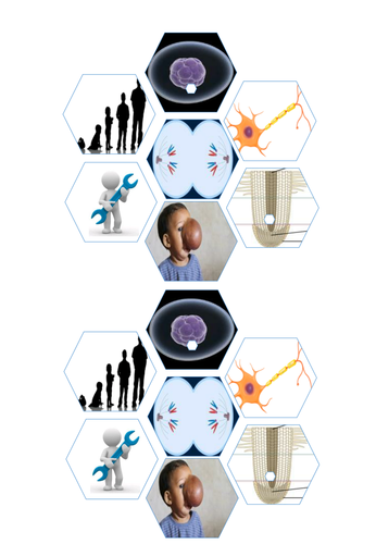 Cells and Control Revision