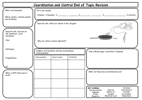 New AQA GCSE Coordination and Control Revision