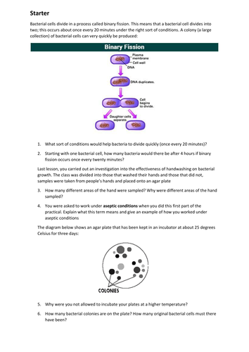 Aseptic technique and binary fission in bacterial cells