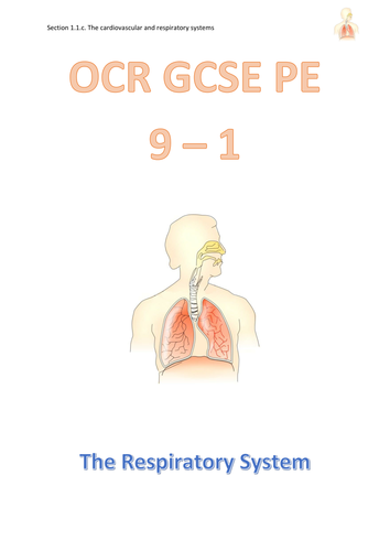 OCR GCSE 9 - 1 (2016 New Spec) 1.1.c The Respiratory System