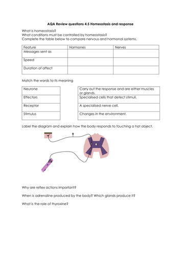 Hormones, homeostasis and response review questions