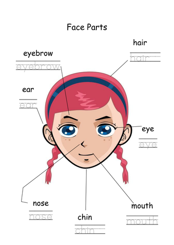 EAL Face and Body Parts Worksheets | Teaching Resources