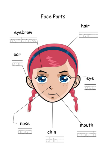 EAL Face and Body Parts Worksheets