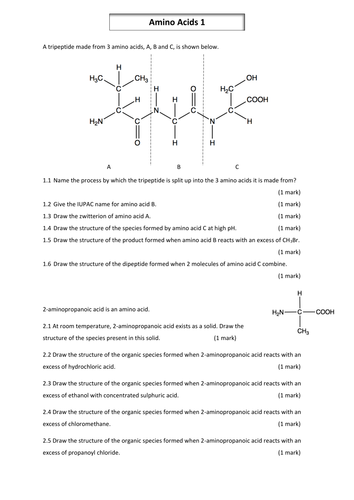 A2 Chemistry Amino Acids and Polymers Exam Style Questions