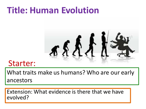 Human Evolution