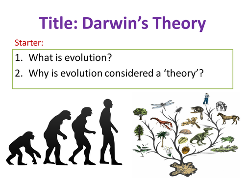 what was darwins main theory called
