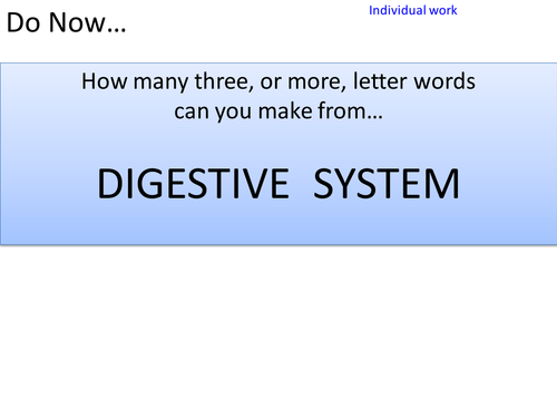 Enzymes in the digestive system