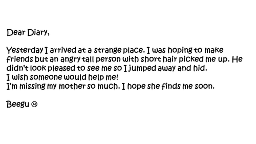 Beegu- diary entries year 1 activities