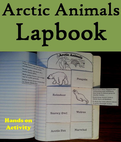 Arctic Animals Lapbook