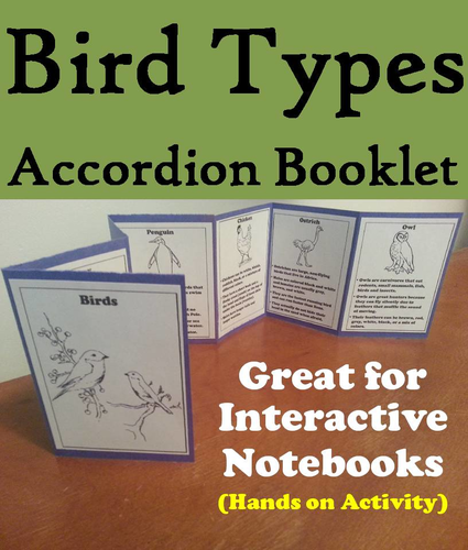 Types of Birds Accordion Booklet
