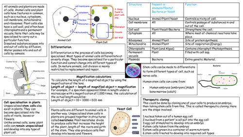 NEW AQA BIOLOGY 4.1 Summary Sheet | Teaching Resources