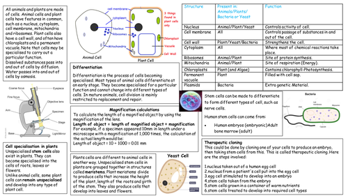 NEW AQA BIOLOGY 4.1 Summary Sheet