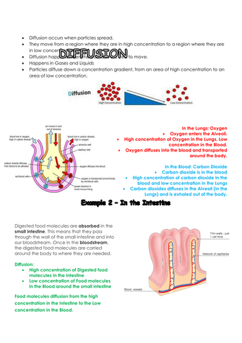 Diffusion NEW AQA Biology 2018