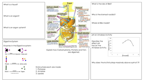 NEW AQA TRILOGY 2018 4.2 Cell organisation