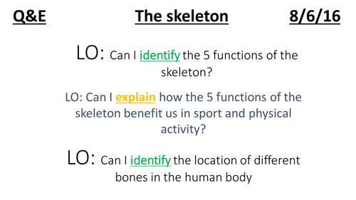 GCSE PE 9-1 Skeleton and Worksheet lesson