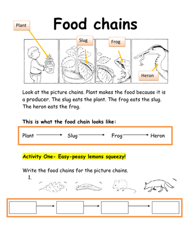 SEN Food chain work sheet