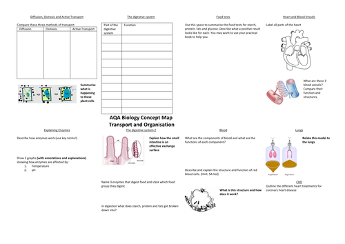 Organisation Concept Map (AQA Trilogy 2016 Spec)